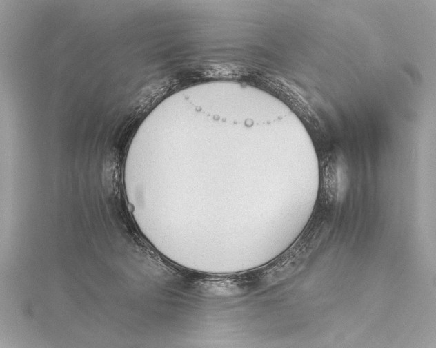 X0000115640322200912011506