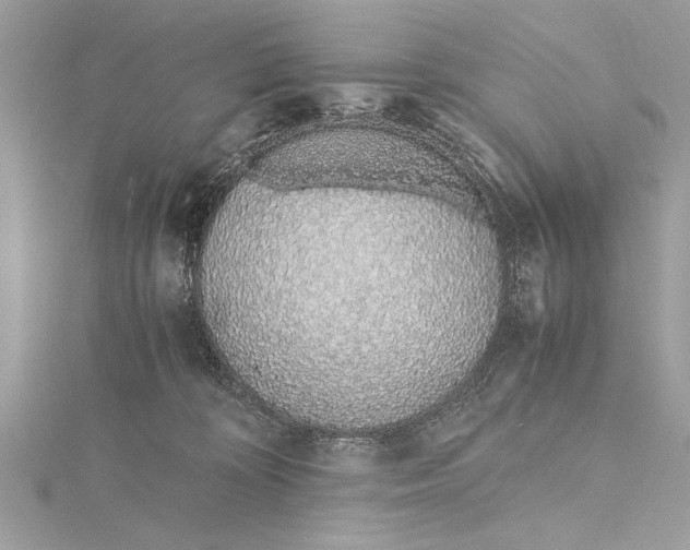 X0000115640324200912011506