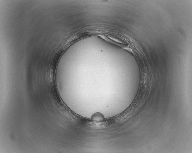 X0000115640326200912011506