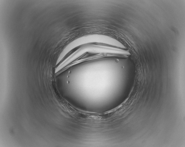 X0000115640328200912011506