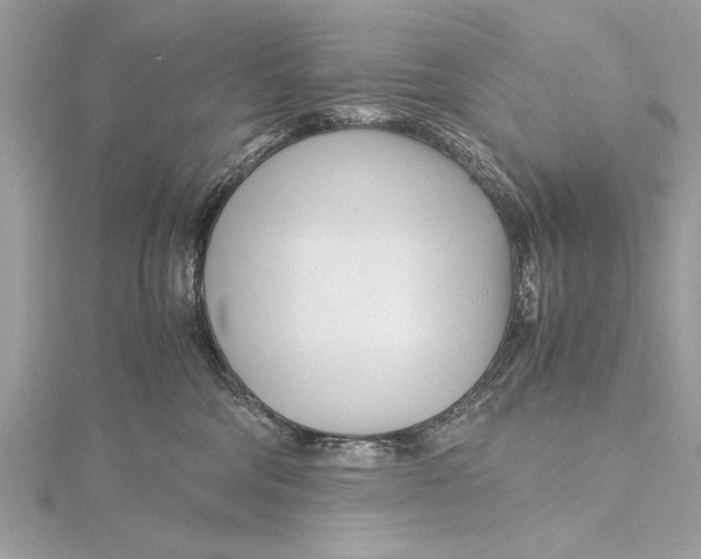 X0000115640330200912011506