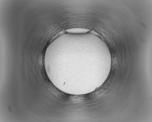 X0000115640331200912011506