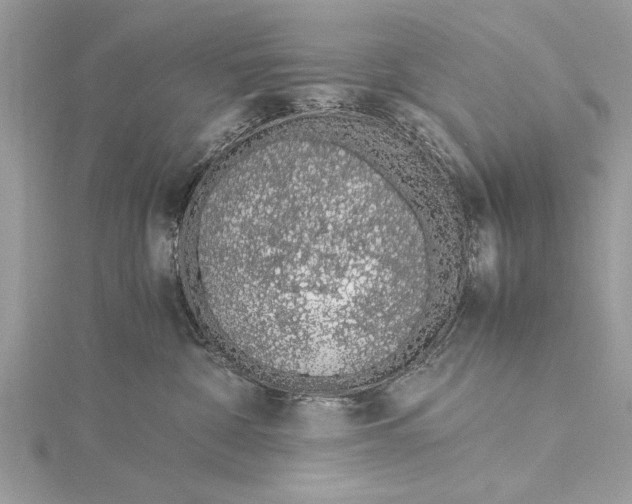 X0000115640332200912011506