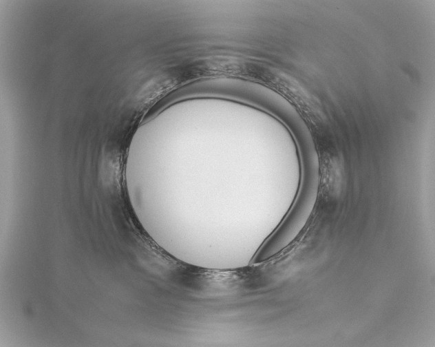 X0000115640333200912011506