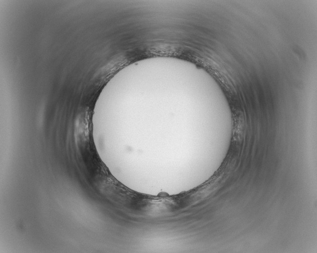X0000115640334200912011506