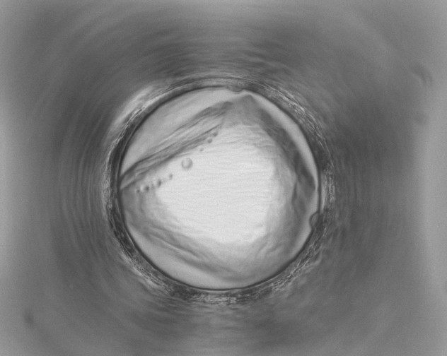 X0000115640339200912011506