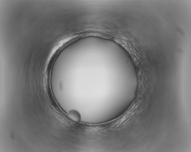 X0000115640342200912011506