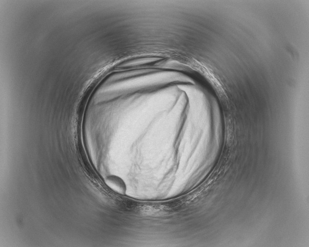 X0000115640346200912011506