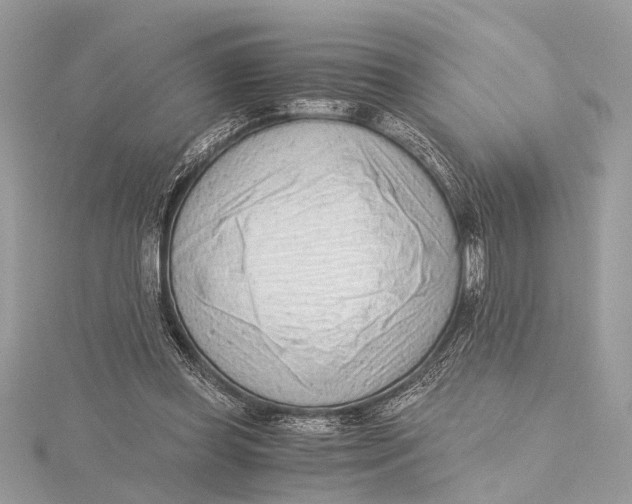 X0000115640349200912011506
