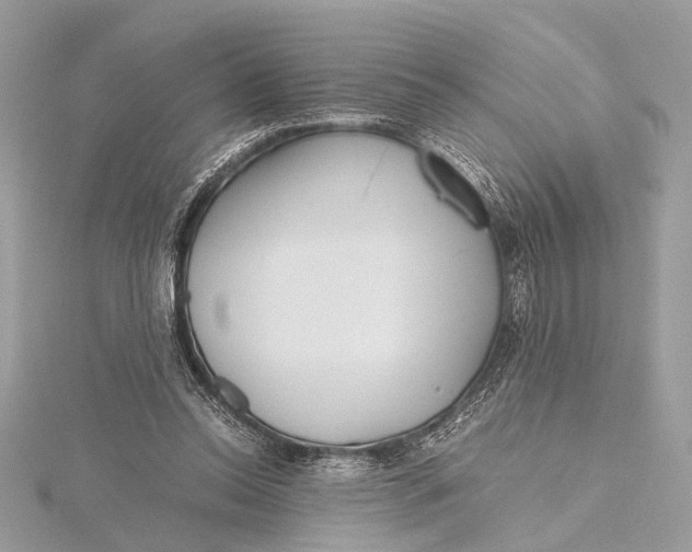 X0000115640350200912011506