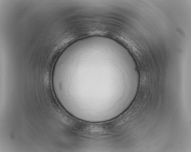 X0000115640353200912011506