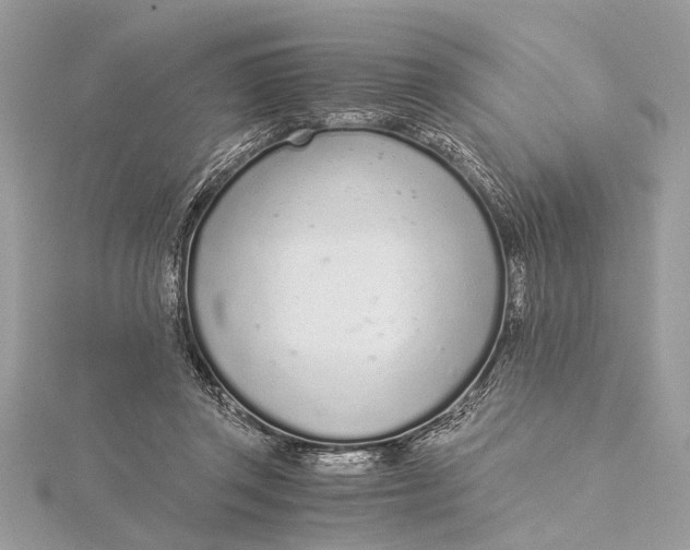 X0000115640357200912011506