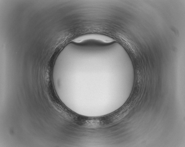 X0000115640362200912011506