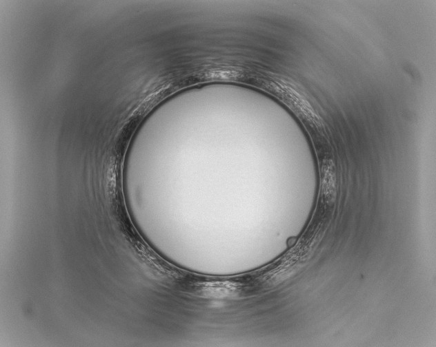 X0000115640363200912011506