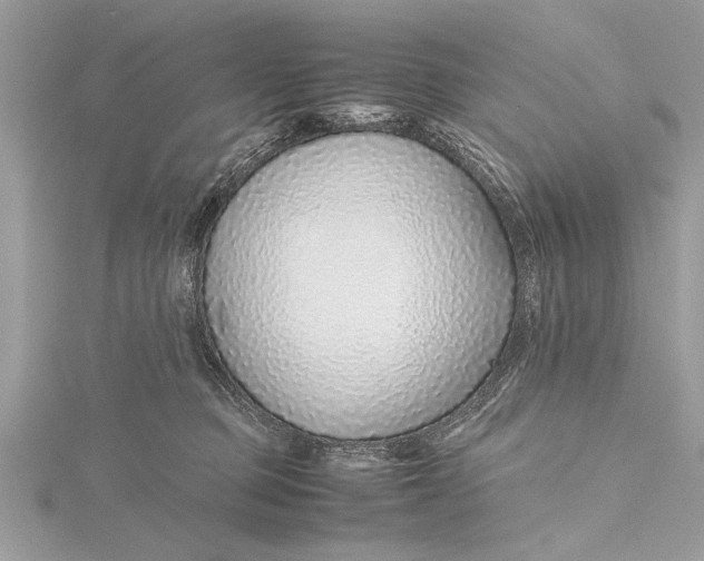 X0000115640373200912011506