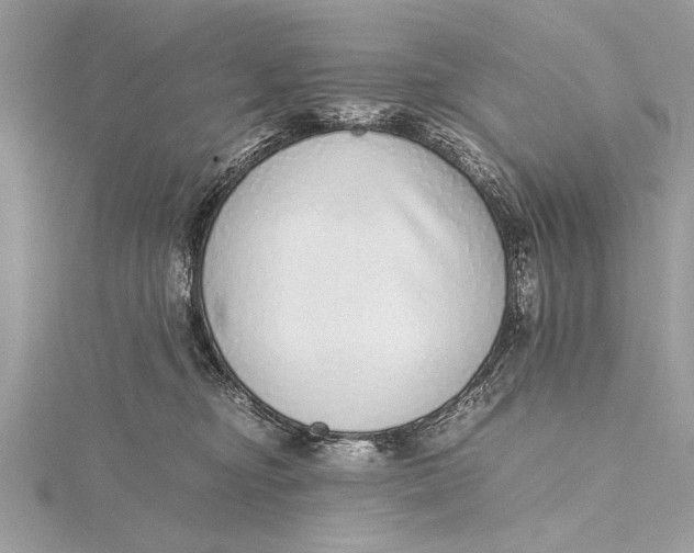 X0000115640374200912011506