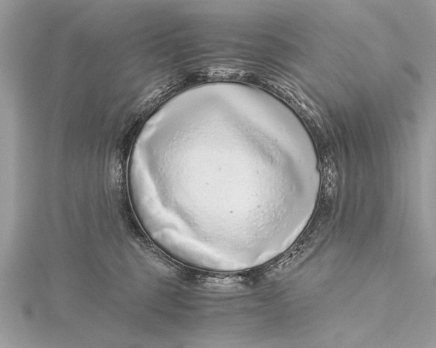 X0000115640375200912011506