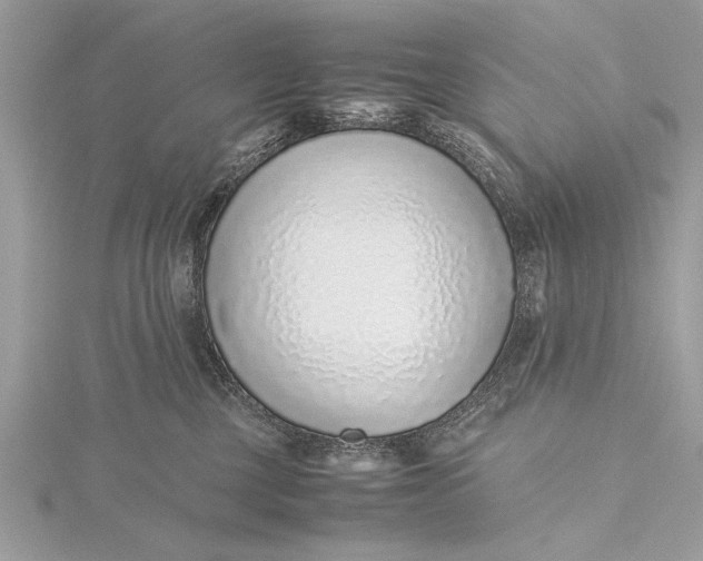 X0000115640377200912011506