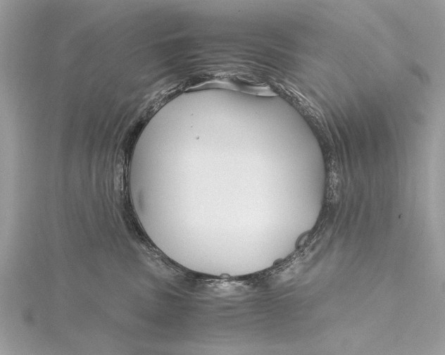 X0000115640379200912011506