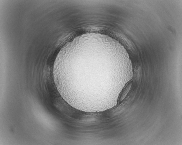X0000115640381200912011506