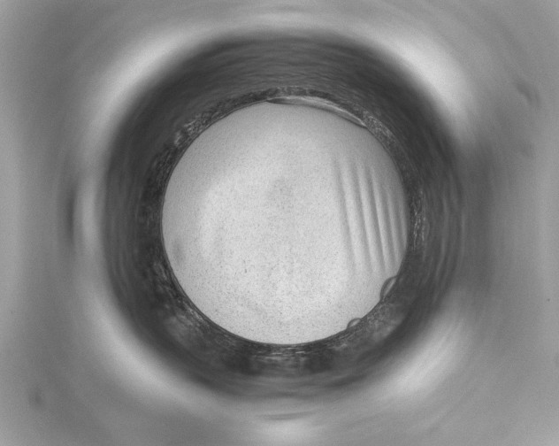 X0000115640383200912011506