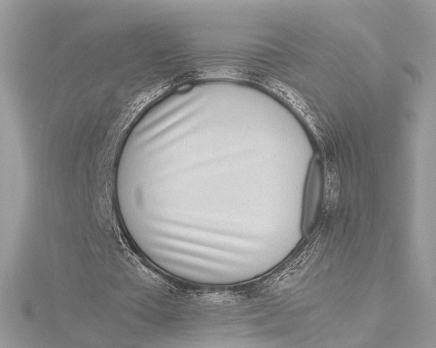 X0000115640385200912011505