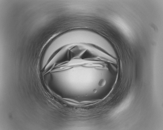X0000115640387200912011505