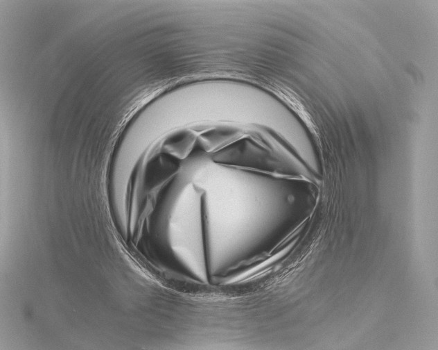 X0000115640389200912011505