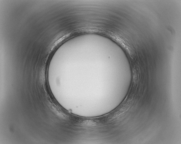 X0000115640390200912011505