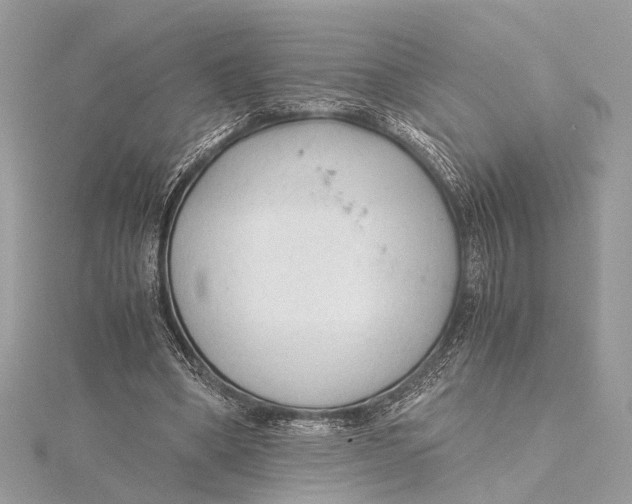 X0000115640394200912011505