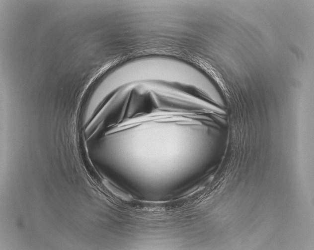 X0000115640395200912011505