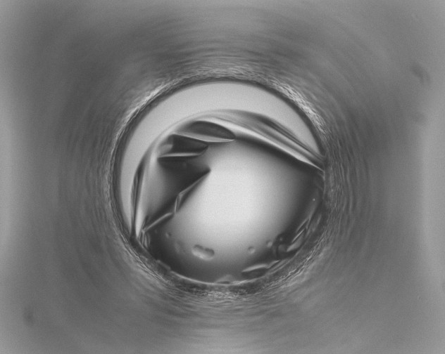 X0000115640399200912011505