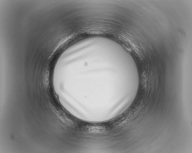 X0000115640400200912011505