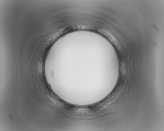 X0000115640401200912011505