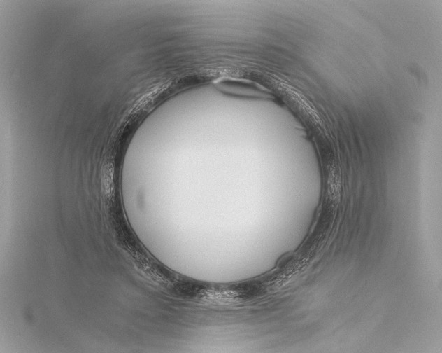 X0000115640403200912011505