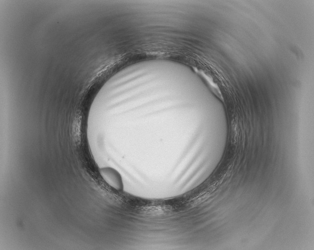 X0000115640404200912011505