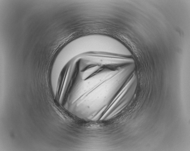 X0000115640405200912011505