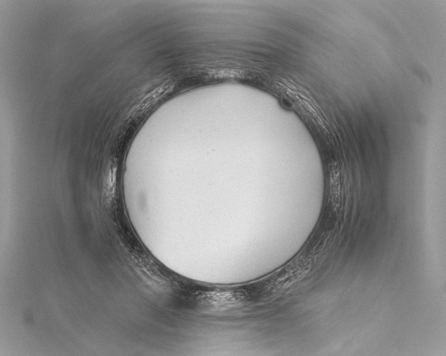 X0000115640406200912011505