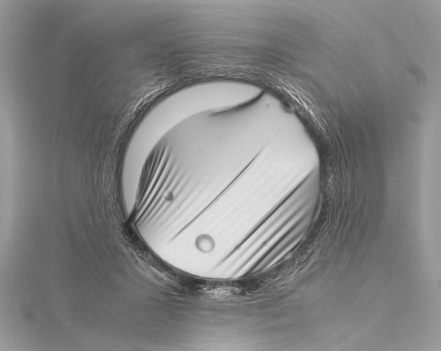 X0000115640407200912011505