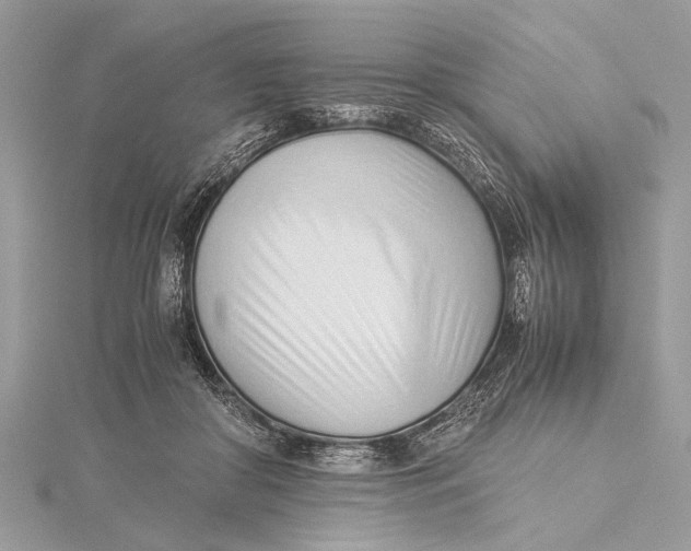 X0000115640410200912011505