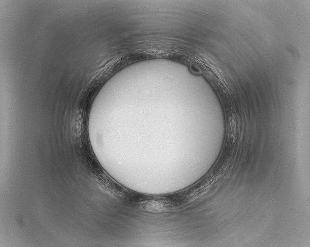 X0000115640412200912011505