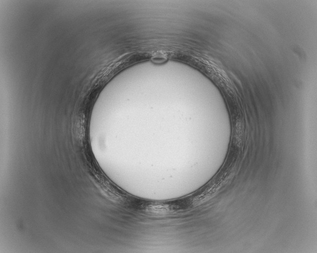 X0000115640413200912011505