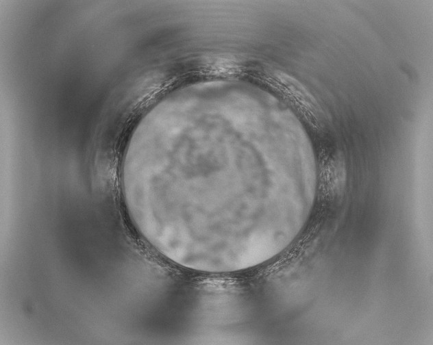 X0000115640415200912011505