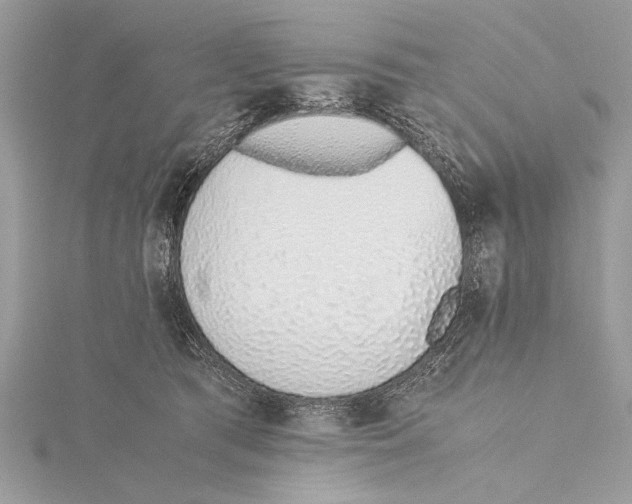 X0000115640417200912011505