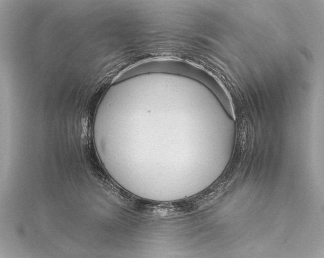 X0000115640420200912011505