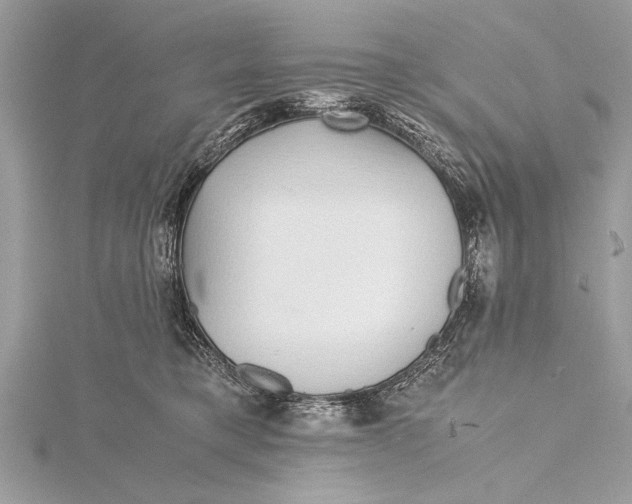 X0000115640421200912011505