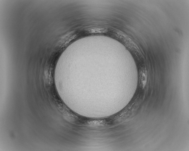 X0000115640422200912011505