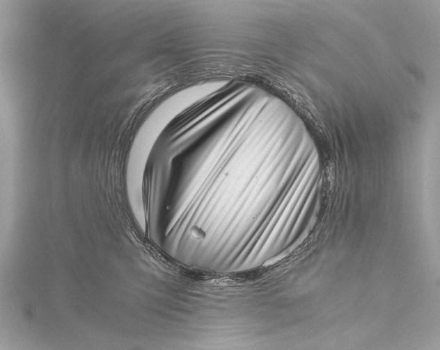 X0000115640423200912011505