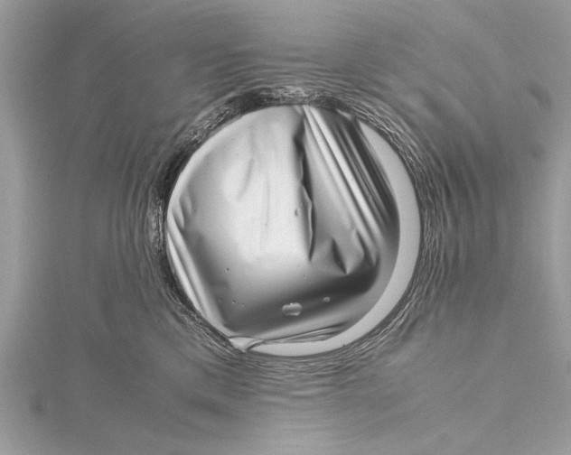 X0000115640425200912011505