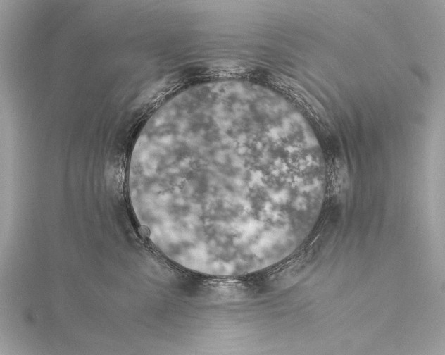 X0000115640427200912011505